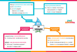 Homonymes - Carte mentale : 6ème Harmos - PDF à imprimer