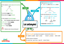 Antonymes - Carte mentale : 6ème Harmos - PDF à imprimer