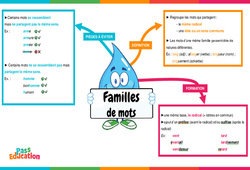 Famille des mots - Carte mentale : 6ème Harmos - PDF à imprimer