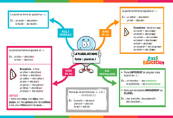 Pluriel en - s (partie 1) - Carte mentale : 6ème Harmos - PDF à imprimer