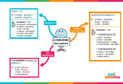 Le pluriel des noms - Pluriel en - x (partie 2) - Carte mentale : 7ème Harmos - PDF à imprimer