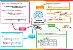 Accord de l'attribut du sujet - Carte mentale : 6ème Harmos - PDF à imprimer