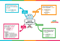 Accord des adjectifs de couleur - Carte mentale : 6ème Harmos - PDF à imprimer