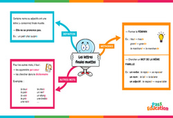 Lettres finales muettes - Carte mentale : 6ème Harmos - PDF à imprimer