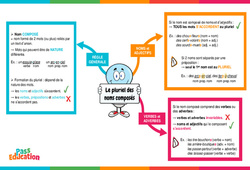 Pluriel des noms composés - Carte mentale : 6ème Harmos - PDF à imprimer