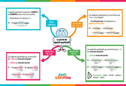 Pluriel des adjectifs - Carte mentale : 6ème Harmos - PDF à imprimer