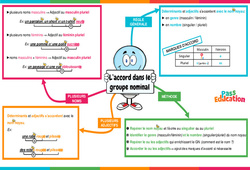 Accord dans le groupe nominal - Carte mentale : 6ème Harmos - PDF à imprimer