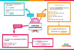 Déterminants possessifs et démonstratifs - Carte mentale : 6ème Harmos - PDF à imprimer