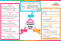 Carte mentale Nature des mots - Carte mentale : 7ème Harmos - PDF à imprimer