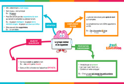 Groupe nominal et ses expansions - Carte mentale : 6ème Harmos - PDF à imprimer