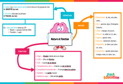 Carte mentale Nature et fonction - Carte mentale : 7ème Harmos - PDF à imprimer