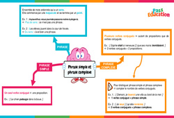 Phrase simple et phrase complexe - Carte mentale : 6ème Harmos - PDF à imprimer