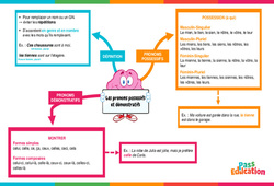 Pronoms possessifs et démonstratifs - Carte mentale : 6ème Harmos - PDF à imprimer