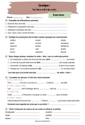 Les liens entre les mots (synonymes, antonymes, paronymes, homonymes) - Exercices avec les corrigés : 10ème Harmos - PDF à imprimer