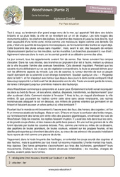 Wood’stown (Alphonse Daudet) - Partie 2 - Littérature : 9eme Harmos - PDF à imprimer