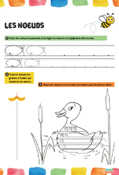 Les nœuds - Fichier graphisme : 1ère, 2ème Harmos - PDF à imprimer