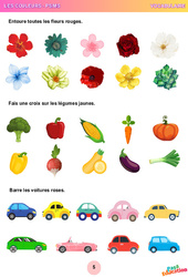 Fleurs et légumes - Les couleurs - Vocabulaire : 1ère Harmos - PDF à imprimer