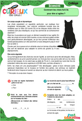 Comment les chats font - ils pour être si agiles ? - Curieux de tout : 9eme, 10ème, 11ème Harmos - PDF à imprimer