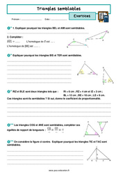 Triangles semblables - Exercices avec les corrigés : 11ème Harmos - PDF à imprimer