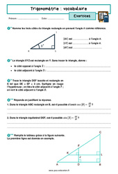 Trigonométrie - Fiches vocabulaire - Exercices avec les corrigés : 11ème Harmos - PDF à imprimer