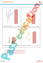 Mesure la fleur en cubes - Grandeurs - Printemps : 1ère Harmos - PDF à imprimer