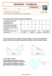 Homothétie (Introduction) - Examen Evaluation avec la correction : 11ème Harmos - PDF à imprimer