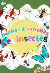 Cahier de vacances - Les insectes - Fichier d'activités : 2ème Harmos - PDF à imprimer en libre téléchargement