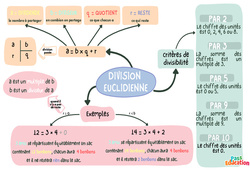 Division euclidienne - Carte mentale : 9eme Harmos - PDF à imprimer