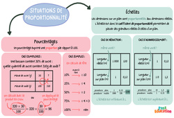 Pourcentages et échelles - Carte mentale : 9eme Harmos - PDF à imprimer