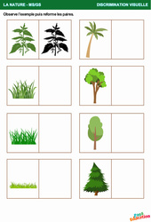 La nature - Discrimination visuelle : 1ère, 2ème Harmos - PDF à imprimer