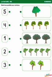 Les arbres - La nature - Nombres : 1ère Harmos - PDF à imprimer