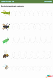 Les trajectoires de ces insectes - Graphisme : 2ème Harmos - PDF à imprimer