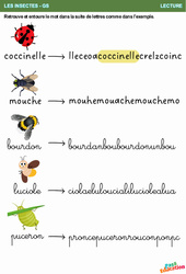 La suite de lettres - Les insectes - Lecture : 2ème Harmos - PDF à imprimer