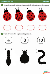 La coccinelle - Les insectes - Nombres : 2ème Harmos - PDF à imprimer