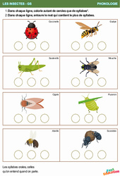 Syllabes & Insectes - Phonologie : 2ème Harmos - PDF à imprimer