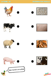 L'animal à son pelage - La ferme - Discrimination visuelle - PDF à imprimer