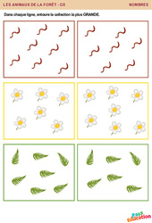 Animaux de la forêt - Nombres : 2ème Harmos - PDF à imprimer