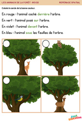 Les animaux de la forêt - Repérage spatial en maternelle : 1ère, 2ème Harmos - PDF à imprimer