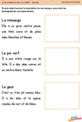 La mésange, le pic vert et le geai - Savoir écouter en maternelle : 1ère, 2ème Harmos - PDF à imprimer