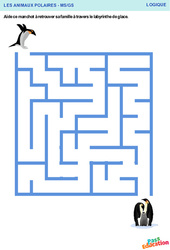 Exercice Le labyrinthe de glace - Animaux polaires - Logique : 1ère, 2ème Harmos - PDF à imprimer