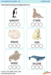 Animaux polaires - Phonologie : 2ème Harmos - PDF à imprimer