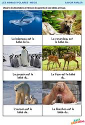 Les parents de ces bébés animaux - Savoir parler : 1ère, 2ème Harmos - PDF à imprimer