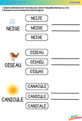 Les 4 saisons - Ecriture : 1ère, 2ème Harmos - PDF à imprimer