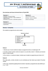 Mini Brevet de mathématiques  - Les annales corrigées 4 : 11ème Harmos - PDF à imprimer