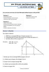 Mini Brevet de mathématiques  - Les annales corrigées 7 : 11ème Harmos - PDF à imprimer