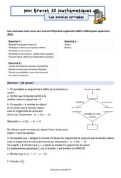 Mini Brevet de mathématiques  - Les annales corrigées 10 : 11ème Harmos - PDF à imprimer