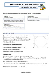 Mini Brevet de mathématiques  - Les annales corrigées 12 : 11ème Harmos - PDF à imprimer