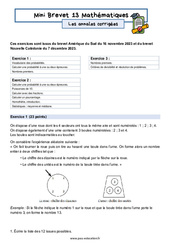 Mini Brevet de mathématiques  - Les annales corrigées 13 : 11ème Harmos - PDF à imprimer