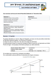 Mini Brevet de mathématiques  - Les annales corrigées 14 : 11ème Harmos - PDF à imprimer