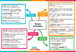 Natures et fonctions - Carte mentale : 10ème Harmos - PDF à imprimer